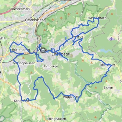 Fuchsination 50 2025